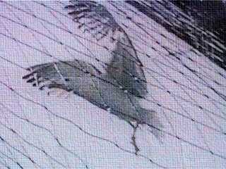 Fot&oacute;grafo por un dia